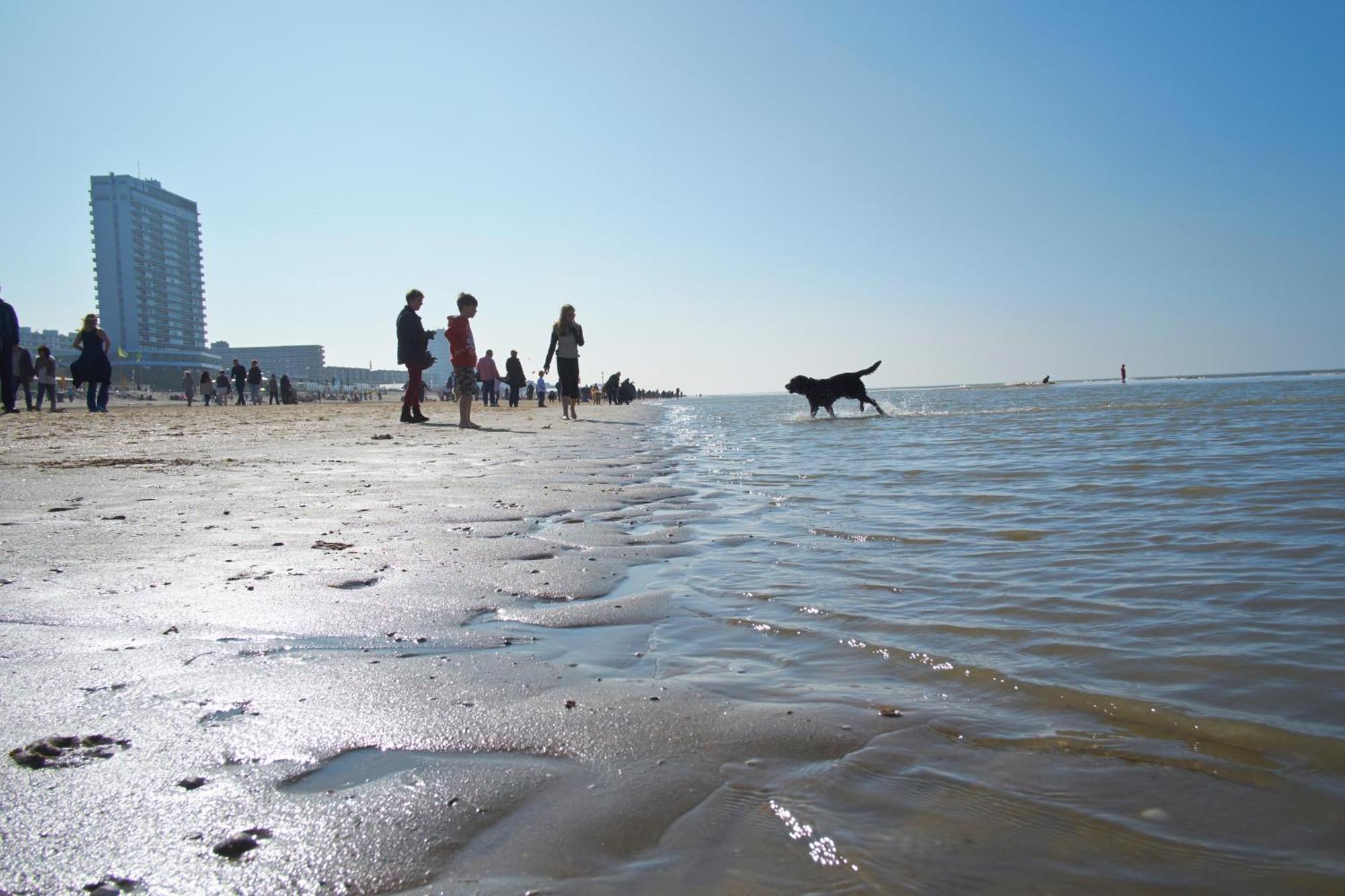 Familie Zwinkels Apartman Zandvoort Kültér fotó